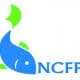 NCFFI
